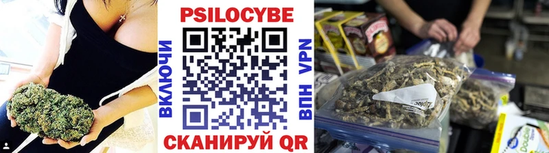 закладки  Власиха  Псилоцибиновые грибы MAGIC MUSHROOMS 
