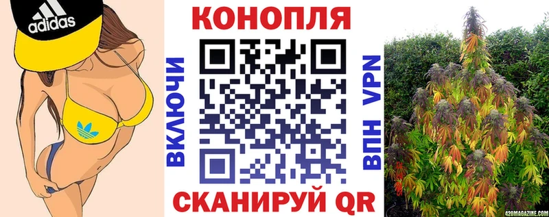 магазин    darknet телеграм  Бошки Шишки MAZAR  Власиха 
